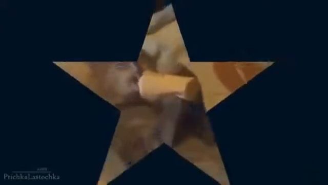 Смешные кошки смешат людей смотреть видео про кошекmp4 смотреть онлайн