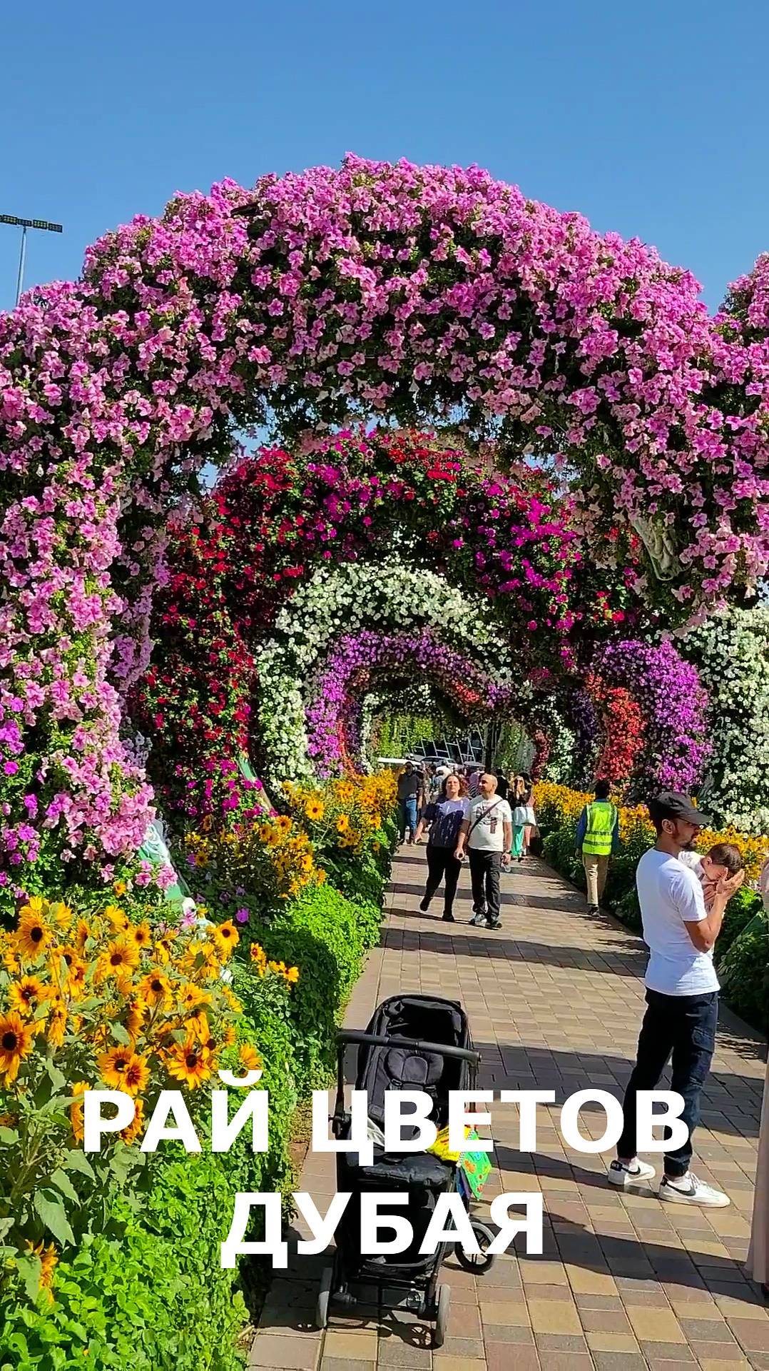 Miracle Garden: Самый большой в мире Цветочный Рай смотреть онлайн