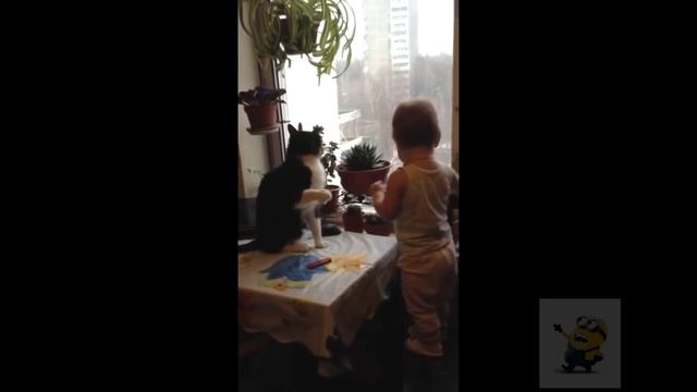 Дети играют с кошками. Смешные животные. смотреть онлайн