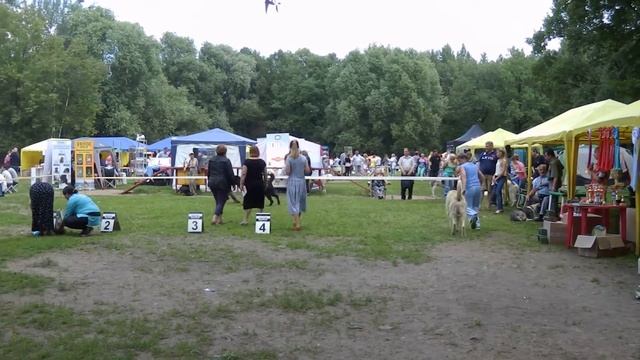 6 июля 2014 г. моно САО. Сравнение на ЛК смотреть онлайн