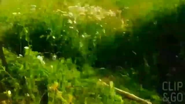 Каламбург смотреть онлайн