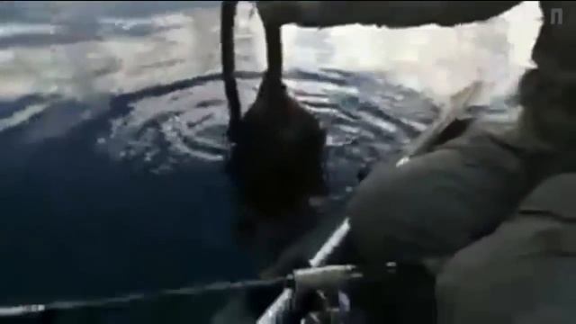 ЛУЧШИЕ РУССКИЕ ПРИКОЛЫ Подборка новых русских приколов 2018 смотреть онлайн