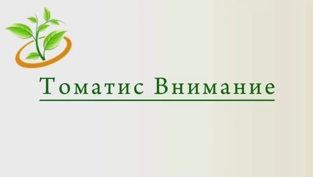 Занятия по методу «Томатис» — Медико-Психологический центр «Росток» в Нижнем Новгороде