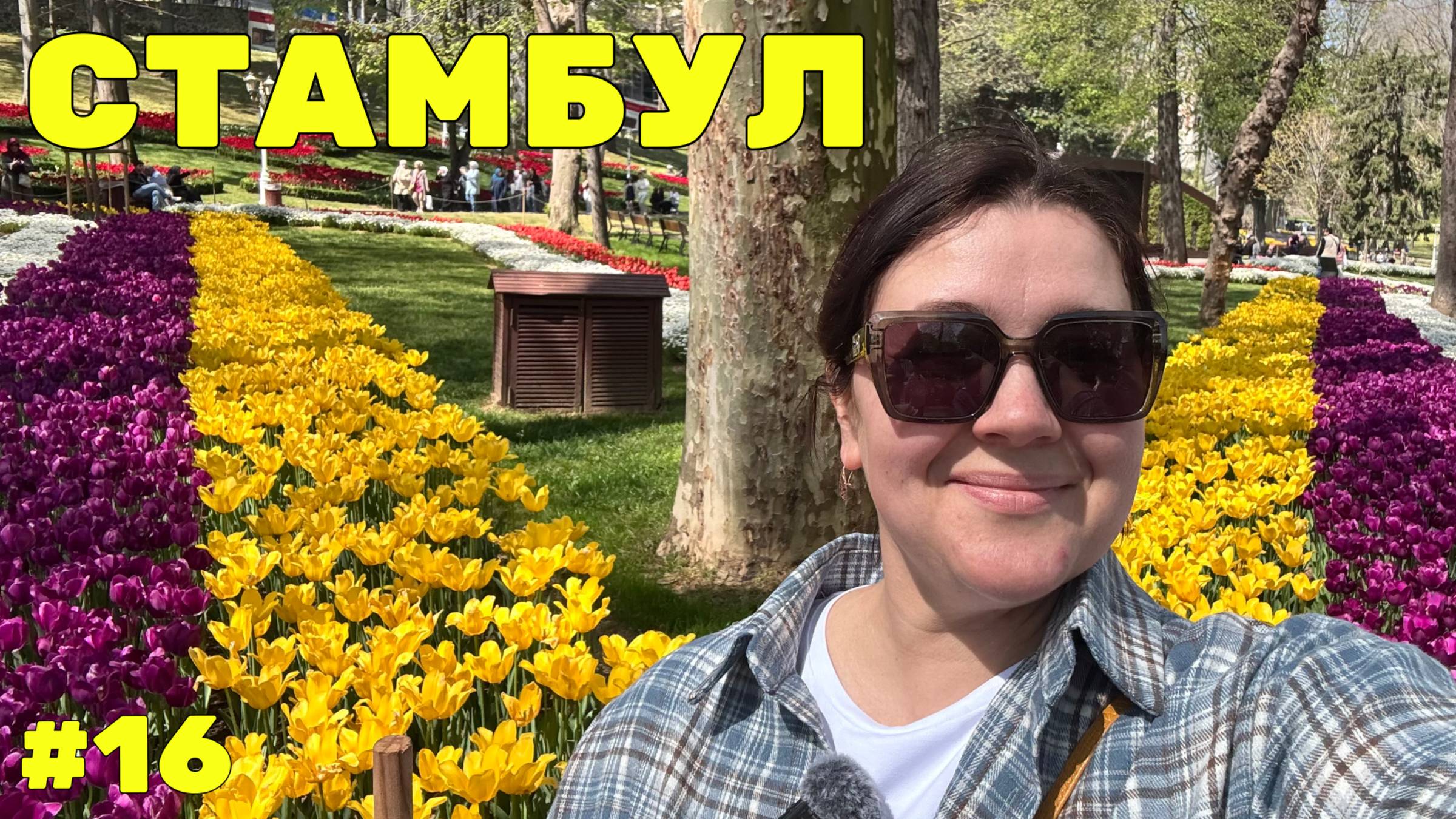🌷 Неделя флориста в Стамбуле #16 - Цветение тюльпанов и обзор цветочных магазинов и рынков смотреть онлайн
