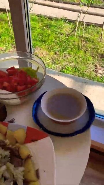 Отварная говядина на обед. Осенний вид из окна на розы #всочиумаши