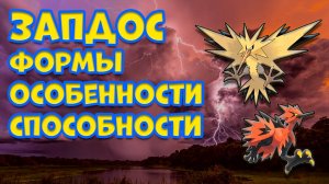 ЗАПДОС. ФОРМЫ, ОСОБЕННОСТИ, СПОСОБНОСТИ