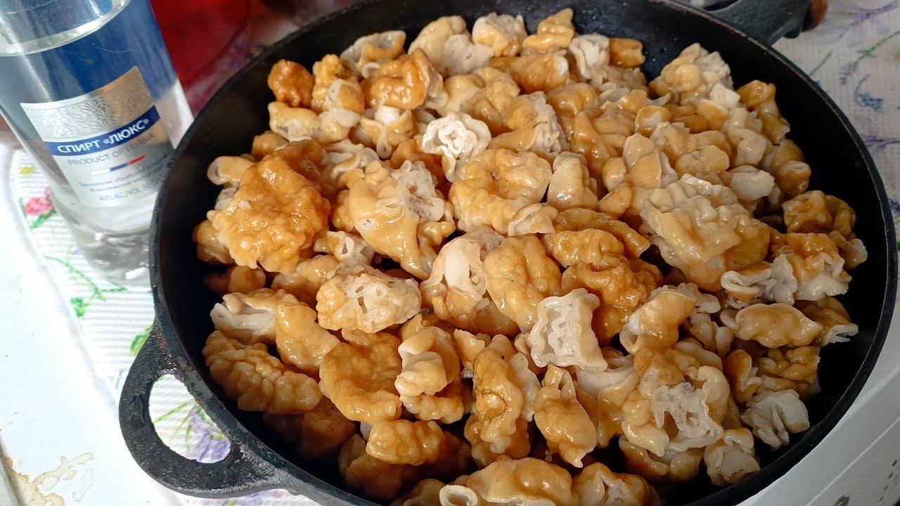 сморчки или строчки? первые весенние грибы начались. уехал далеко за город, собирать грибы на жарёху смотреть онлайн