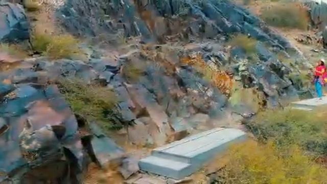 Елдос Умбетали Жамбыл ауданына тусирген Бейнебаяны..... смотреть онлайн