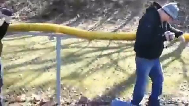 Яєшня бистро і сердито "прикол" смотреть онлайн