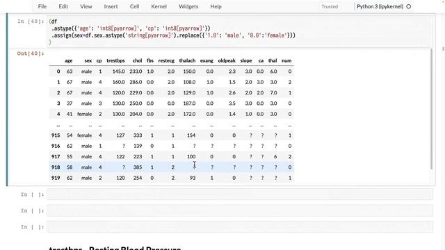 044. Converting the Chest Pain Column into an Int8 смотреть онлайн