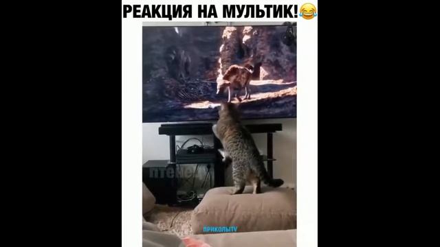 ПРИКОЛЫ 2020 😎 ЧУДИКИ ИЗ СОЦСЕТЕЙ #12 смотреть онлайн