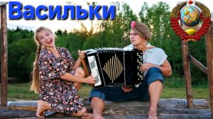 🔥Эту песню пели ещё наши бабушки🔥 ВАСИЛЬКИ из СССР⭐️....ДУШЕВНАЯ ПЕСНЯ !!!