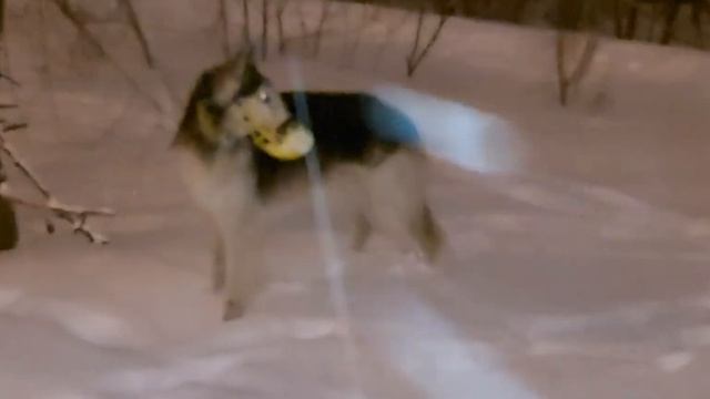 11 февраля 2021 г. смотреть онлайн