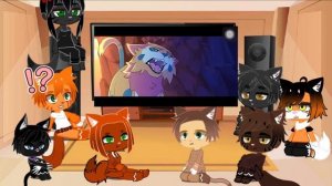 Реакция котов-воителей на meme и не только 9/?? (читать описание)