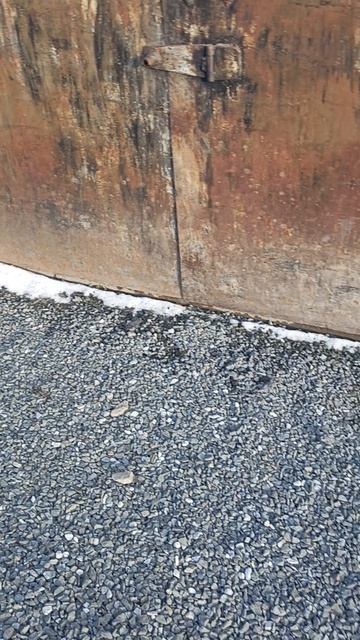 Повезло, хоть не убирать.. смотреть онлайн