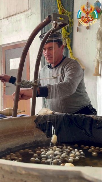 Из кокона добываем шёлк