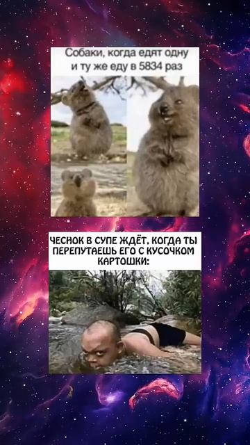 #мем #мемы #2023 #ржака #юмор #memes #приколы #угар #meme смотреть онлайн