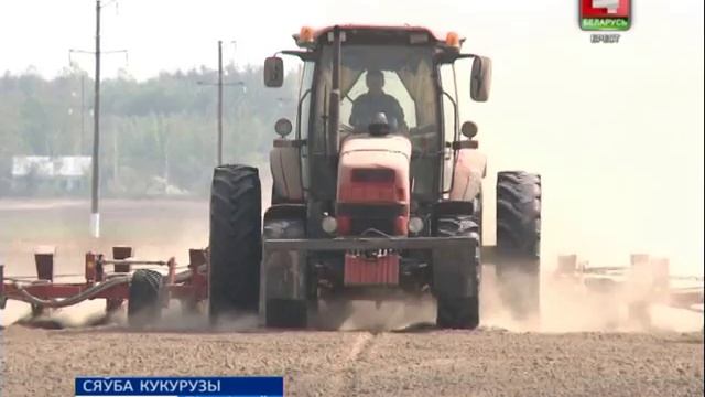 СЯЎБА КУКУРУЗЫ (Відэа) смотреть онлайн