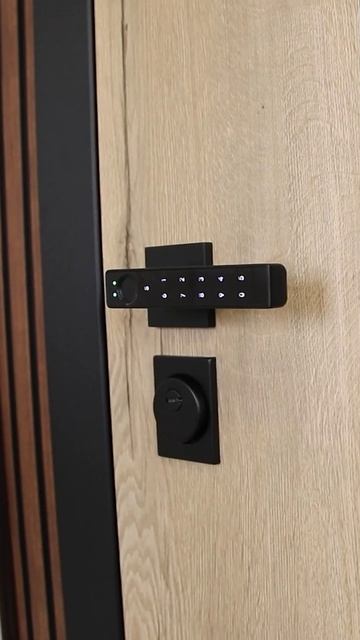 стальная дверь Конструктор с биометрической ручкой смотреть онлайн