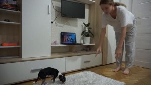 моё утро // my morning routine