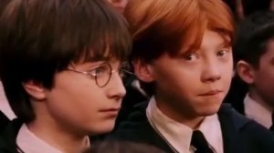 Гарри поттер (озвучка с матом)