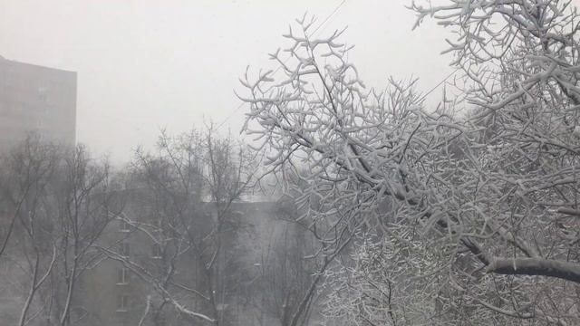 Дмитрий TV. Клип 