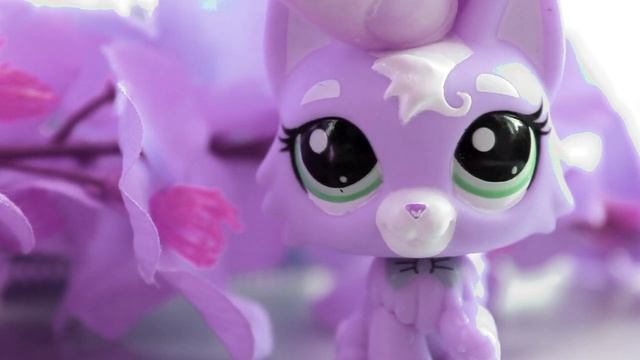 LPS: Music Video : Alina Grosu  - Просто я придумала тебя...