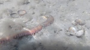 Пойдём на рыбалку😁