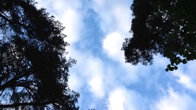 Я жду когда ты придешь смотреть онлайн