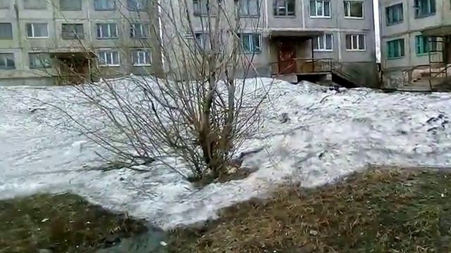 Воркутинские купаты 8 июня 2019 смотреть онлайн