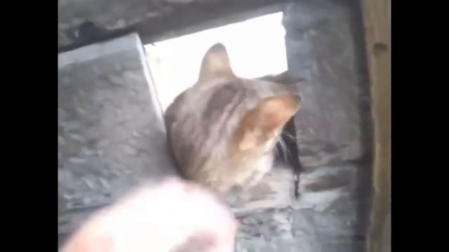 Онлайн Приколы Фото. Спортивные Приколы смотреть онлайн