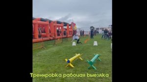 Старты по Хобби хорсингу. ФХМО, иваново поле.