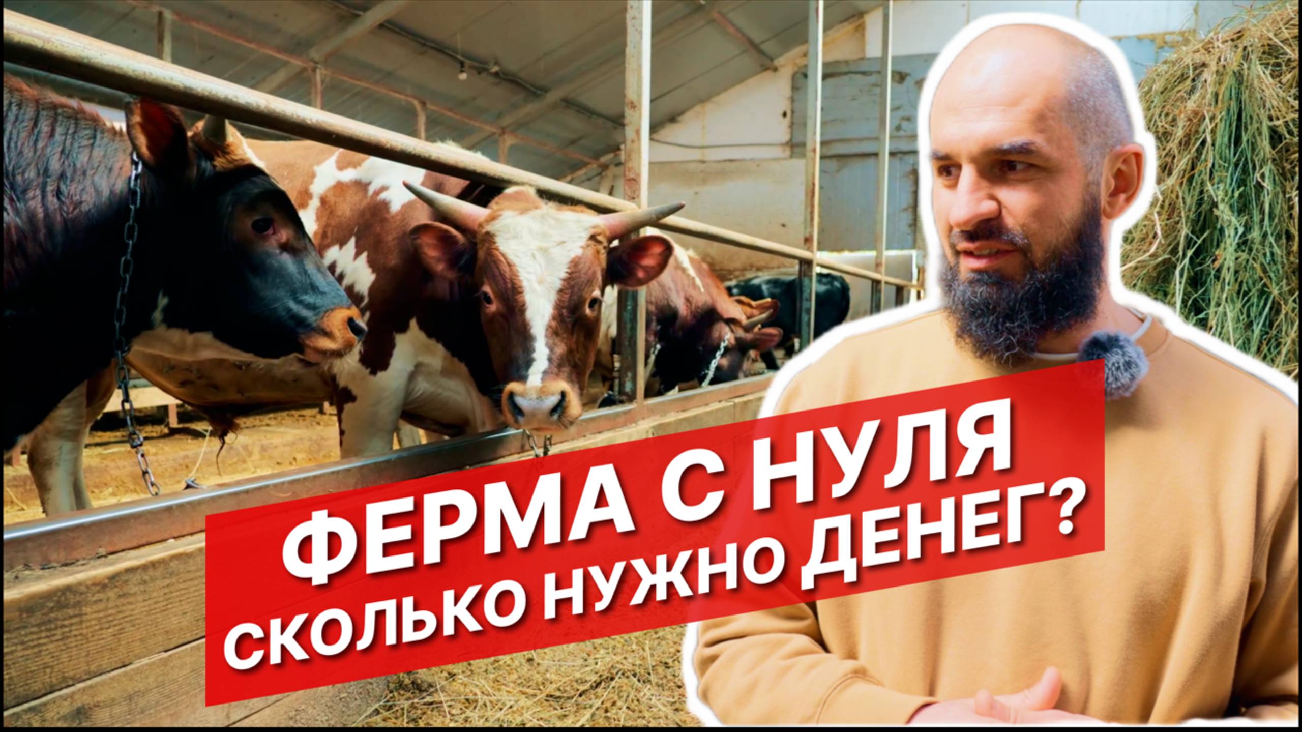 Как построить ферму с нуля? | Айрширская порода | Ферма своими руками | Постройка фермы смотреть онлайн