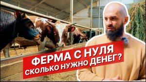 Как построить ферму с нуля? | Айрширская порода | Ферма своими руками | Постройка фермы