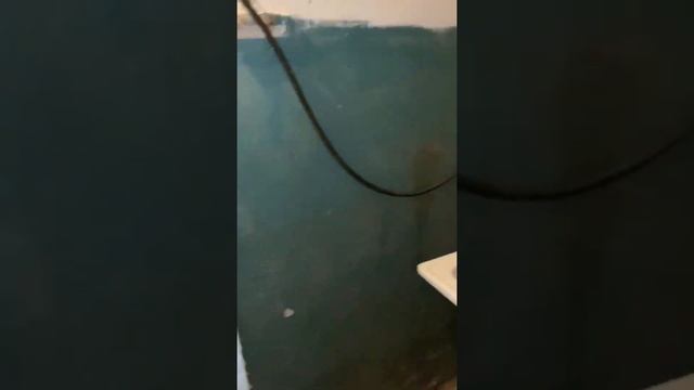1ка Галактионовская 69 / Льва Толстого смотреть онлайн