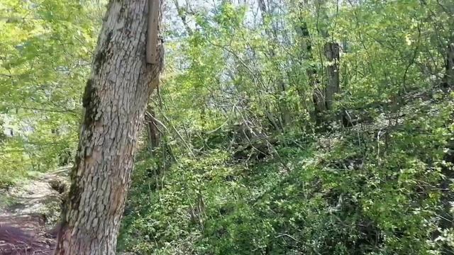 И снова г. Собер-Баш ❤️