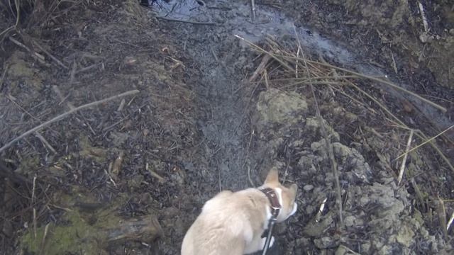 охота и рыбалка смотреть онлайн