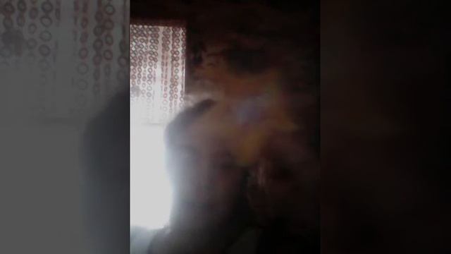 Приколы на первое 1 апреля смотреть онлайн