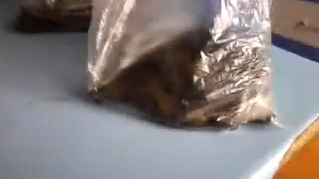 Террариум от курсакова и скорпиона. #1 смотреть онлайн