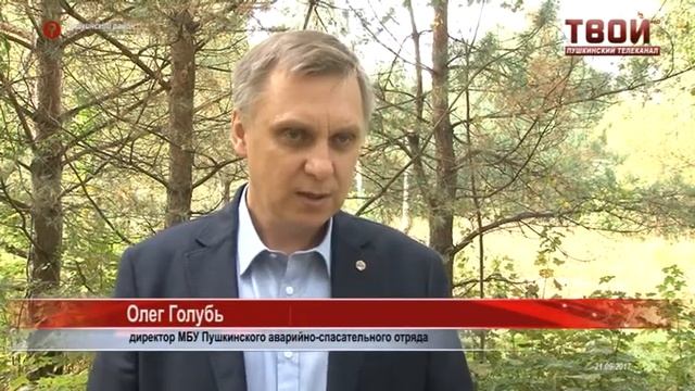 Урожай на «потеряшек» смотреть онлайн