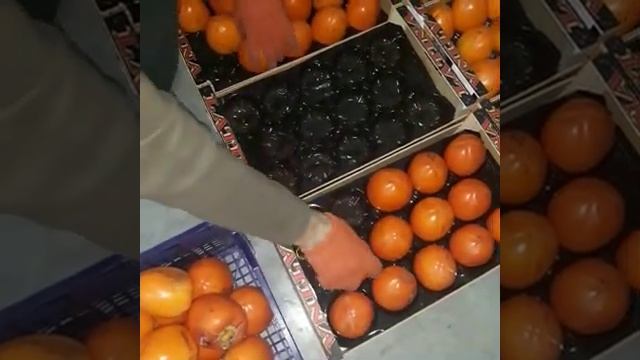 Инвойс 045 Калибр 14 смотреть онлайн