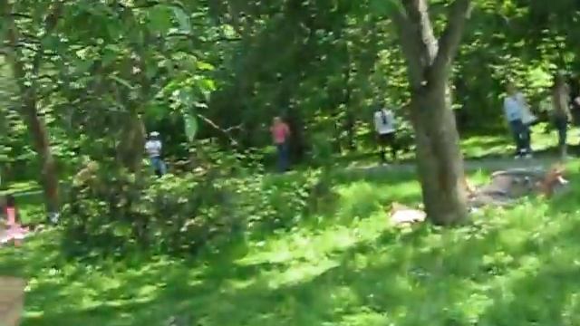 Встреча Monster high лаверов в парке Сокольники смотреть онлайн