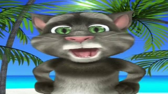 Прикольный котик смотреть онлайн
