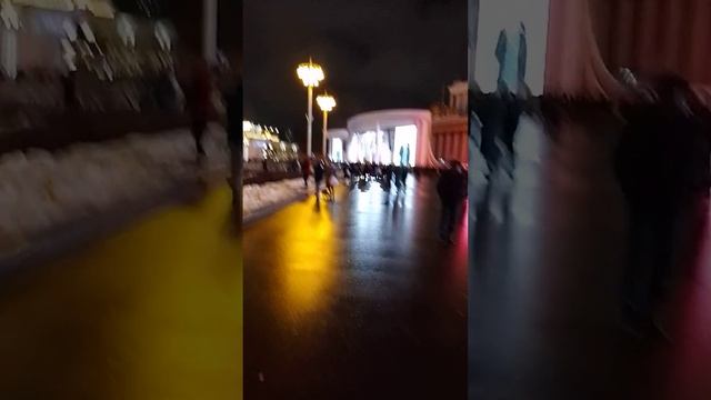 ВДНХ 30.12.2023 Новогодний концерт «Звезды Русского Радио». смотреть онлайн