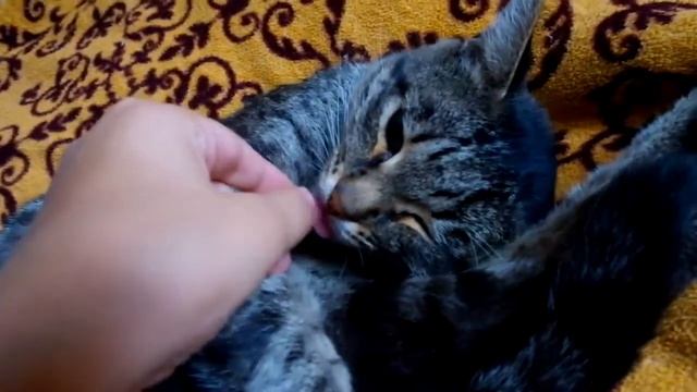 Симба - пробуждение короля смотреть онлайн
