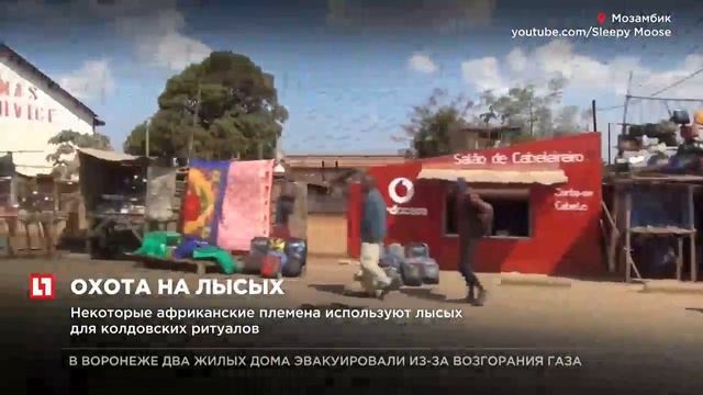 Полиция Мозамбика предупредила жителей страны о ритуальных убийствах лысых людей смотреть онлайн