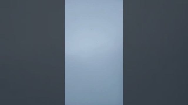 05.11.2020.Подъём голубей на протокол.Сошенков Александр. смотреть онлайн