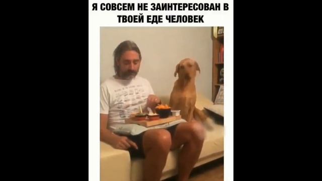 Подборка Приколов Сентябрь 2019 #1 Mr.Crazy смотреть онлайн