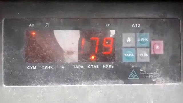 Афган- победитель выставки 2018. Анвар Рустемов +77017224679(ватцап) смотреть онлайн