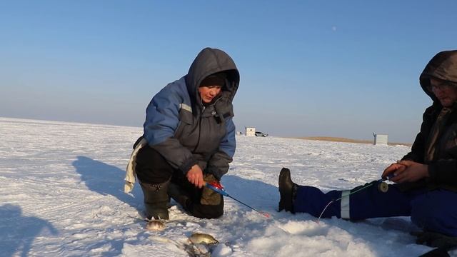 Насадили на крючок 🪝 хитрую наживку и поймали много рыбы смотреть онлайн